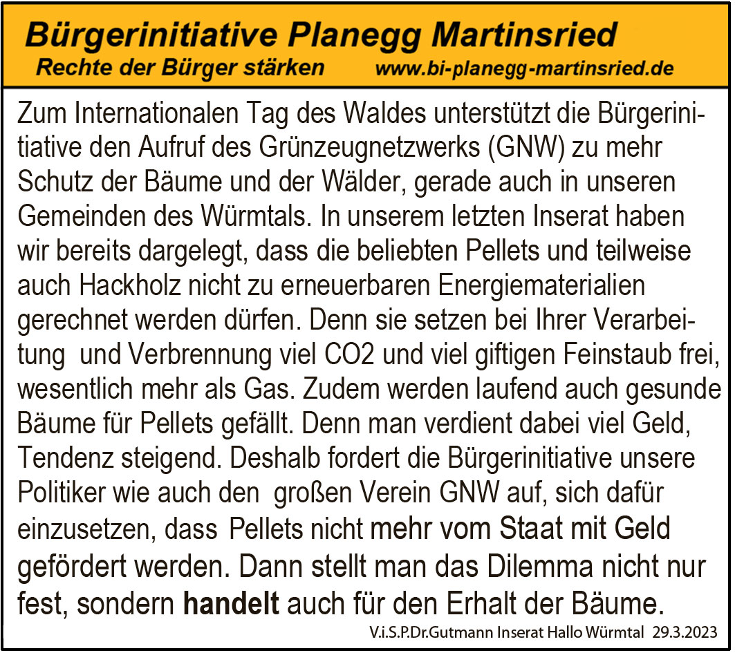 Internationaler Tag des Waldes