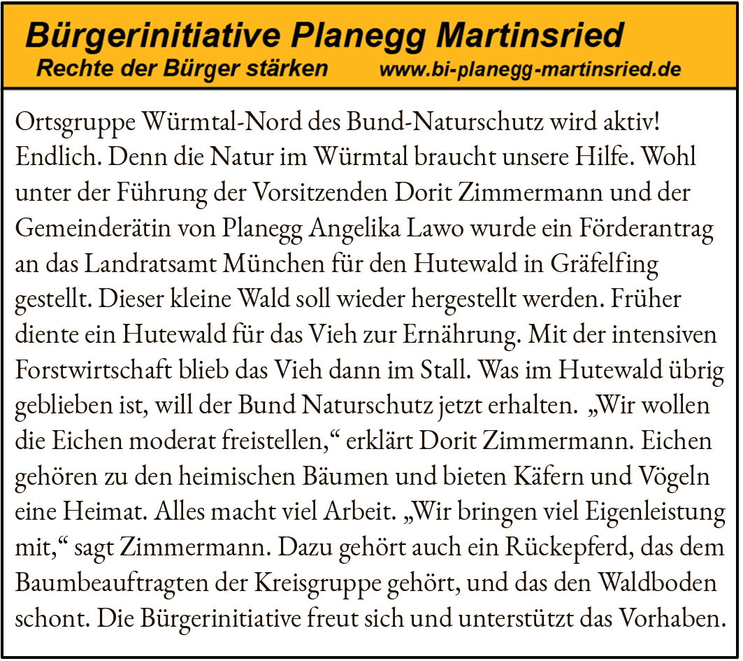 Ortsgruppe Würmtal-Nord des Bund-Naturschutz wird aktiv! Endlich. Denn die Natur im Würmtal braucht unsere Hilfe. Wohl unter der Führung der Vorsitzenden Dorit Zimmermann und der Gemeinderätin von Planegg Angelika Lawo wurde ein Förderantrag an das Landratsamt München für den Hutewald in Gräfelfing gestellt. Dieser kleine Wald soll wieder hergestellt werden. Früher diente ein Hutewald für das Vieh zur Ernährung. Mit der intensiven Forstwirtschaft blieb das Vieh dann im Stall. Was im Hutewald übrig geblieben ist, will der Bund Naturschutz jetzt erhalten. „Wir wollen die Eichen moderat freistellen,“ erklärt Dorit Zimmermann. Eichen gehören zu den heimischen Bäumen und bieten Käfern und Vögeln eine Heimat. Alles macht viel Arbeit. „Wir bringen viel Eigenleistung mit,“ sagt Zimmermann. Dazu gehört auch ein Rückepferd, das dem Baumbeauftragten der Kreisgruppe gehört, und das den Waldboden schont. Die Bürgerinitiative freut sich und unterstützt das Vorhaben.